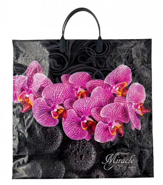 d5512f281e9b11ed958a94de80fd41b3_97e309dff64711eeb7eedc49aac828c9