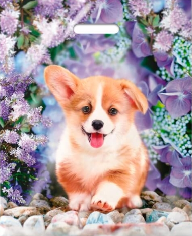 d5e71559b12811eeb7e9ffa317e667aa_23a2b28bb38e11eeb7e9ffa317e667aa