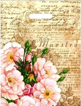 e39f2689628011eabe6294de80fd41b3_ae232237a22111ea9fd25404a64acbe5