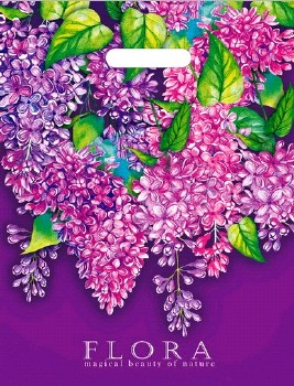 e39f268f628011eabe6294de80fd41b3_ae232248a22111ea9fd25404a64acbe5