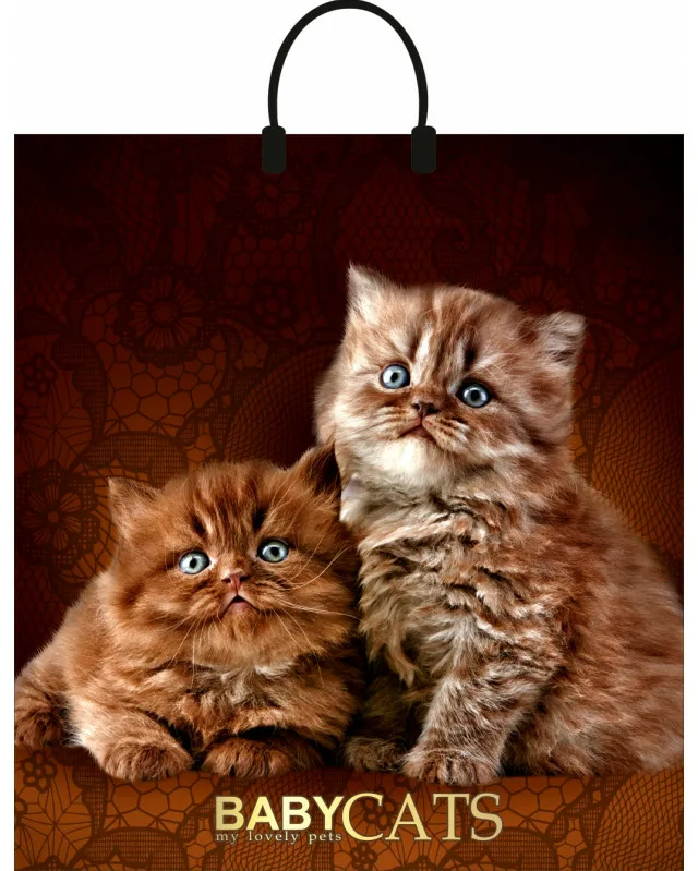 e49316a5511511eeb7d5bd038b969ae0_5671449656a711eeb7d5bd038b969ae0