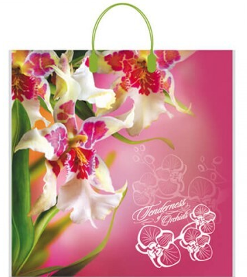 e49316a7511511eeb7d5bd038b969ae0_63a47761d6bf11eeb7eedc49aac828c9