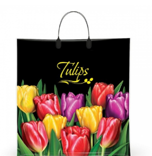 e7a56304ae3111efb7fef09aa9a32313_770f6d20bde411efb800c1e5b27d2c04